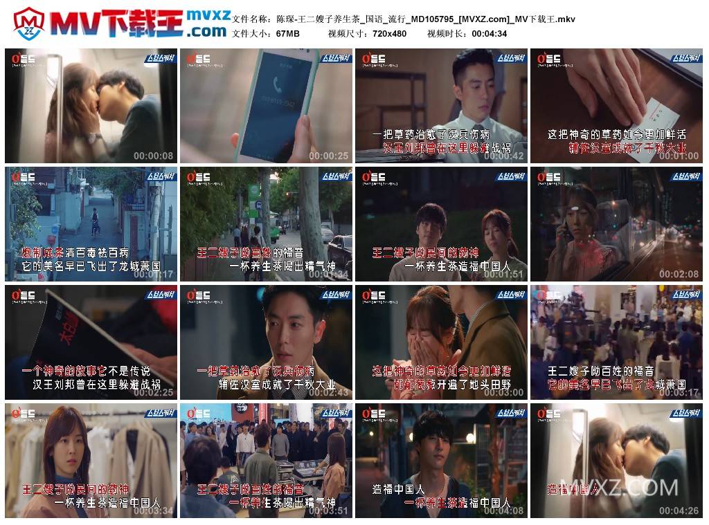 陈琛-王二嫂子养生茶_国语_流行_MD105795